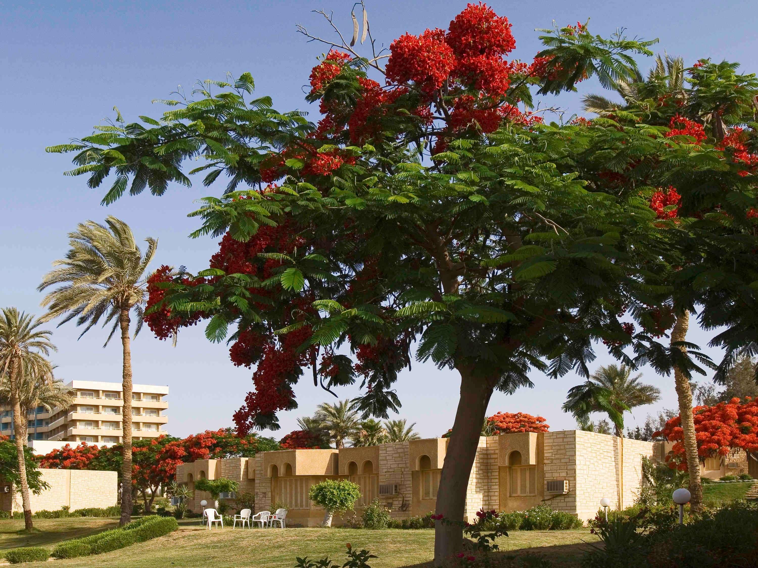 Mercure Ismailia Forsan Island Exteriér fotografie
